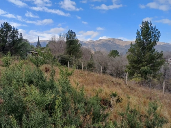 IMG-20240913-WA0006(1)