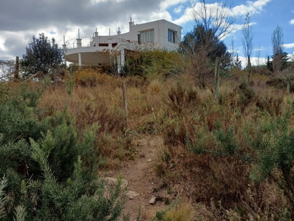 IMG-20240913-WA0007(3)