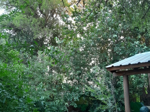 IMG-20250129-WA0009 (1)