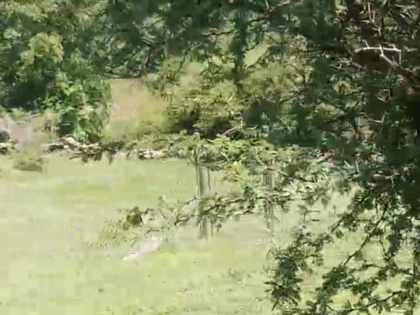 Screenshot_20250107_150450_WhatsApp